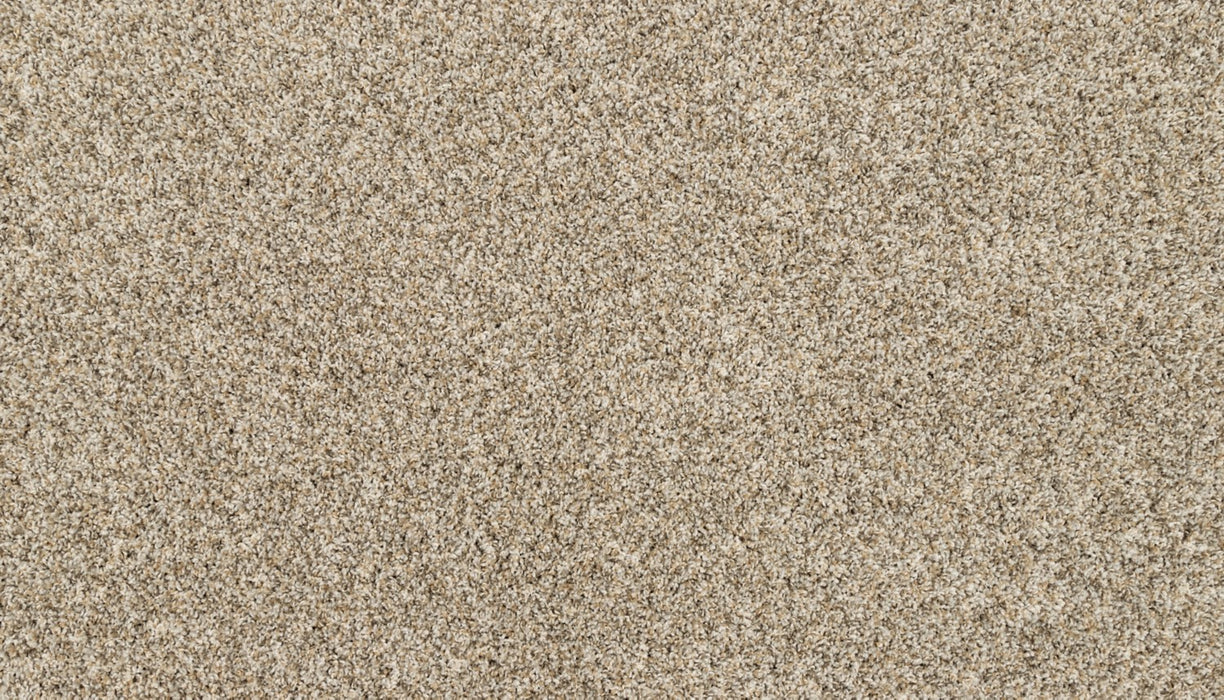 Purrsonality II Polyester Soapstone 837 Carpet Textured 1