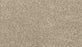 Purrsonality II Polyester Soapstone 837 Carpet Textured 1