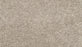 Purrsonality II Polyester Oyster 948 Carpet Textured 1