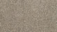 Purrsonality II Polyester Highway 957 Carpet Textured 1