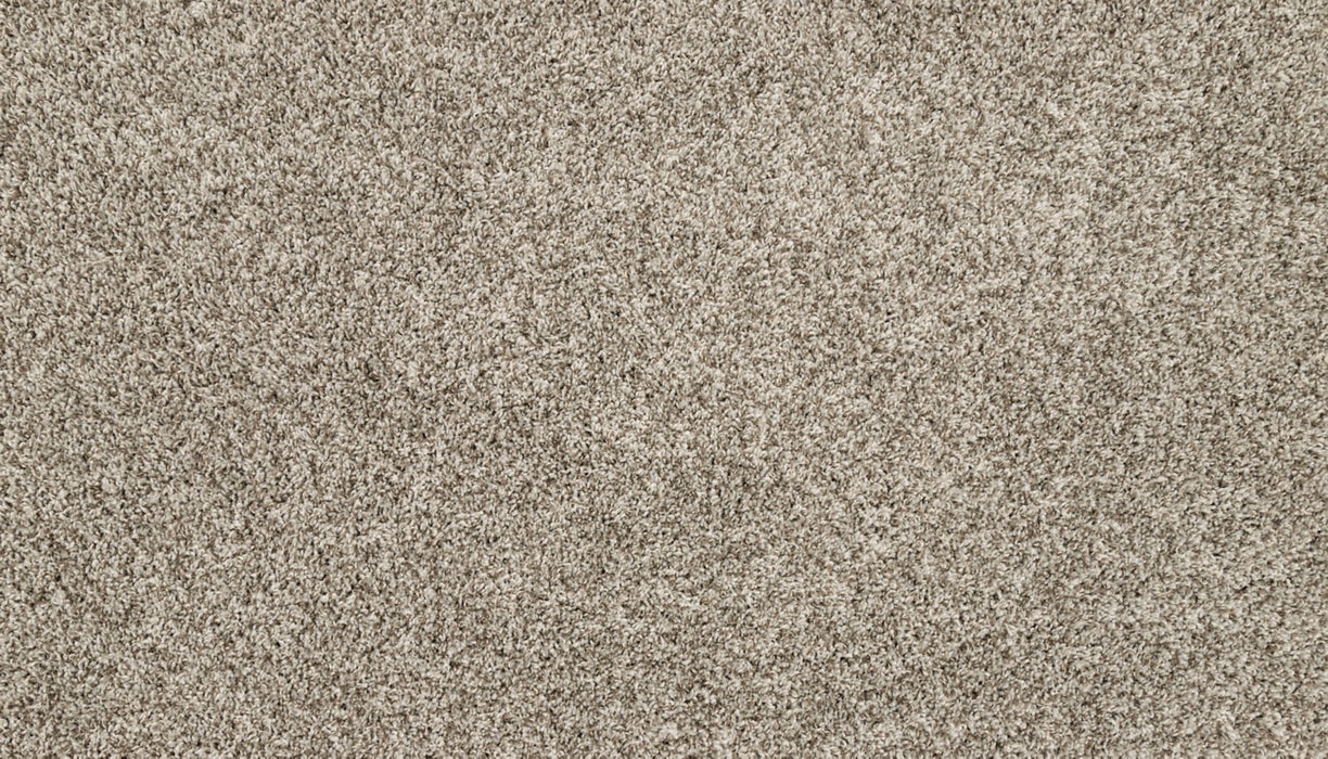 Purrsonality II Polyester Pebble Trail 959 Carpet Textured 1