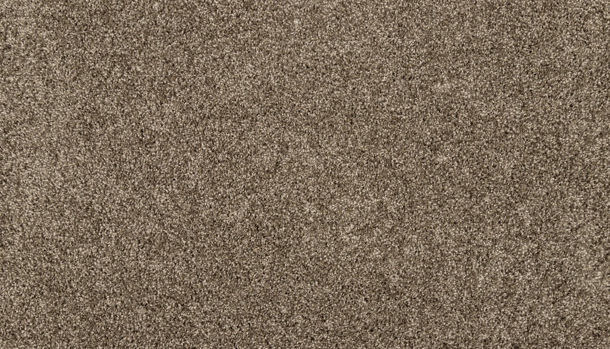 Purrsonality II Polyester Legend 966 Carpet Textured 1