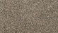 Purrsonality III Polyester Heron 547 Carpet Textured 1