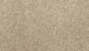 Purrsonality III Polyester Hazelnut 819 Carpet Textured 1
