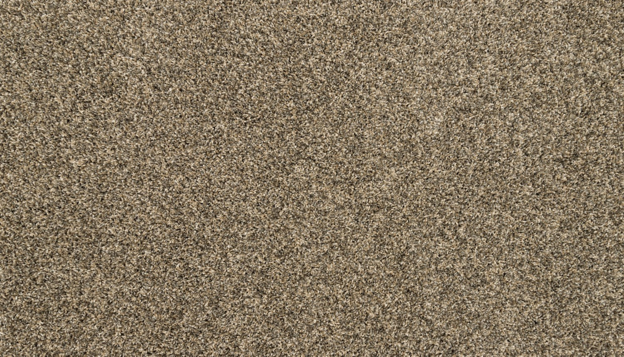 Purrsonality III Polyester Cracked Wheat 847 Carpet Textured 1