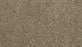 Purrsonality III Polyester Cracked Wheat 847 Carpet Textured 1