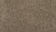Purrsonality III Polyester Legend 966 Carpet Textured 1