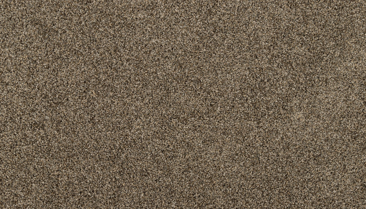 Purrsonality III Polyester Nightshade 968 Carpet Textured 1