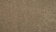 Luxuriant Space Triexta Halo 760 Carpet Textured 1