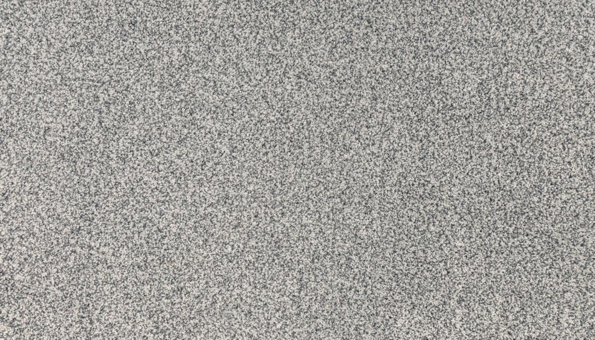Luxuriant Space Triexta Ice Fox 907 Carpet Textured 1