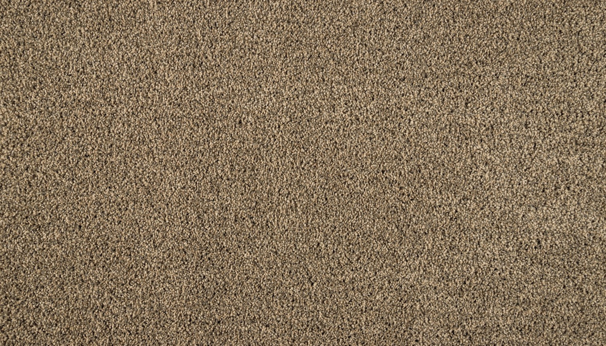Luxuriant Surface Triexta Halo 760 Carpet Textured 1