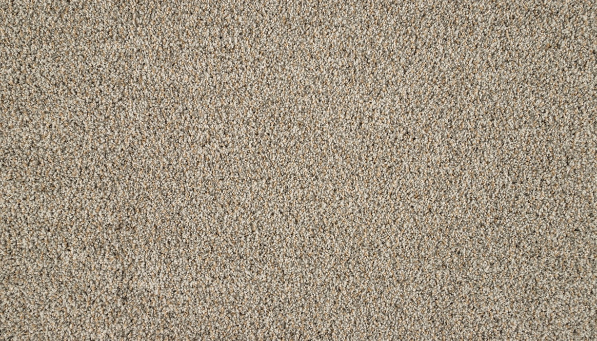 Luxuriant Surface Triexta Flute 906 Carpet Textured 1