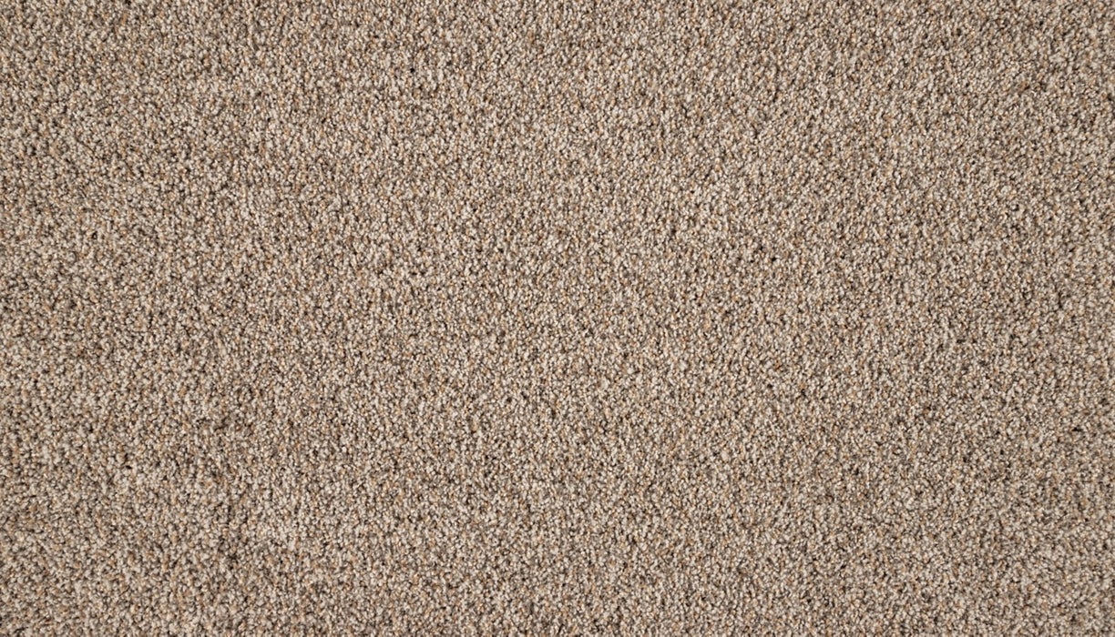 Luxuriant Surface Triexta Scroll 730 Carpet Textured 1