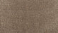 Reverie Triexta Blissful 759 Carpet Textured 1