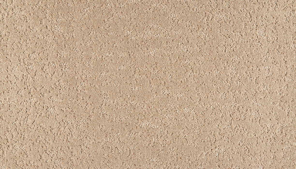 Mineral Effects Triexta Granite 743 Carpet Pattern 1