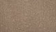 Mineral Effects Triexta Copper 857 Carpet Pattern 1