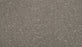 Mineral Effects Triexta Oak Tree 979 Carpet Pattern 1