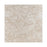 Full Paver Sample - Ocean Reef Shellstone Limestone Paver - 16" x 24" x 3 CM Brushed