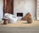 Old Town Wool Fawn 95215 Carpet OLDTN Loop 2