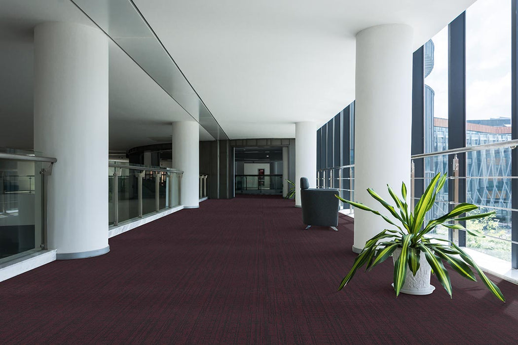 Omnia Broadloom APEX SDP Polyester Fact of Life 3392 Carpet Loop 2