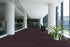 Omnia Broadloom APEX SDP Polyester Fact of Life 3392 Carpet Loop 2
