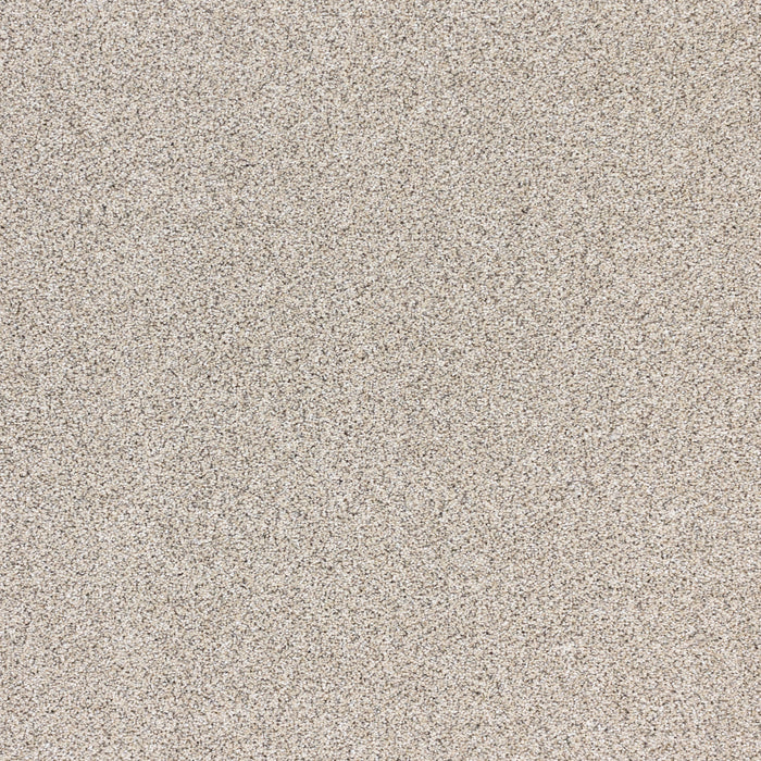 Optics Polypropylene Light Dance Carpet Textured 2