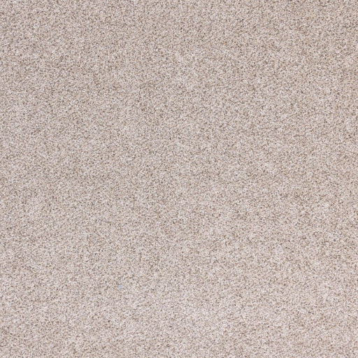 Optics Polypropylene Visionary Carpet Textured 1