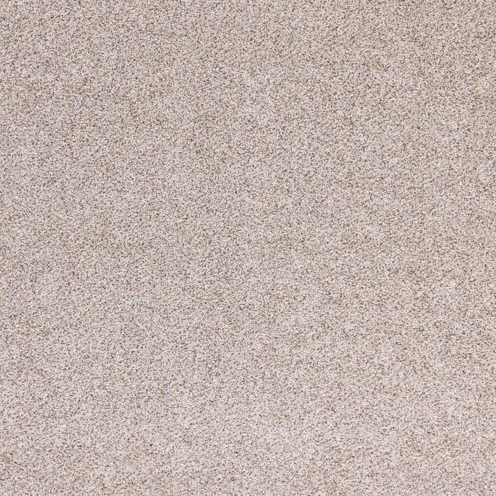 Optics Polypropylene Visionary Carpet Textured 2