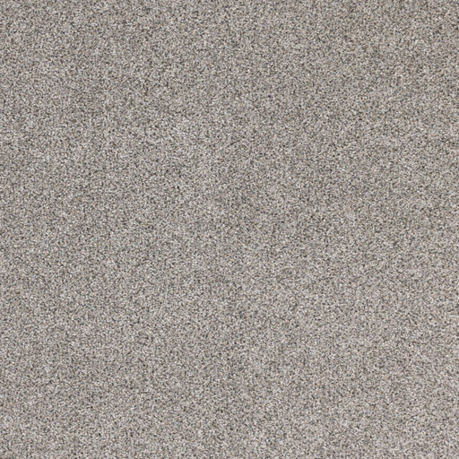 Optics Polypropylene Genesis Carpet Textured 1