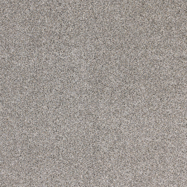 Optics Polypropylene Genesis Carpet Textured 1