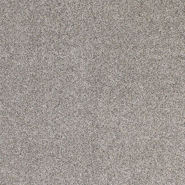 Optics Polypropylene Genesis Carpet Textured 2