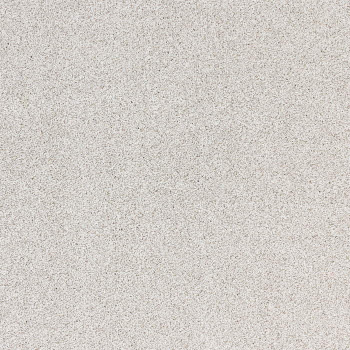 Optics Polypropylene Radiance Carpet Textured 2