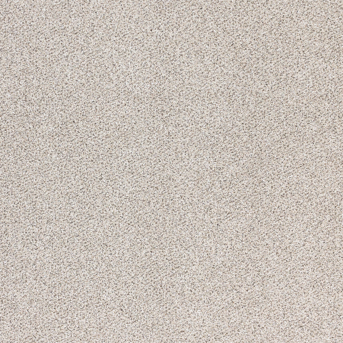 Optics Polypropylene Nova Carpet Textured 2