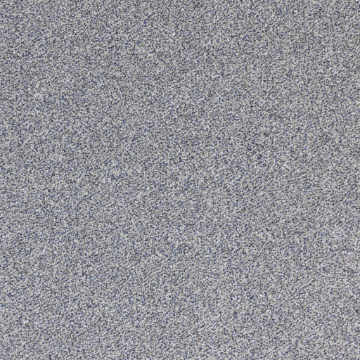 Optics Polypropylene Intensity Carpet Textured 1
