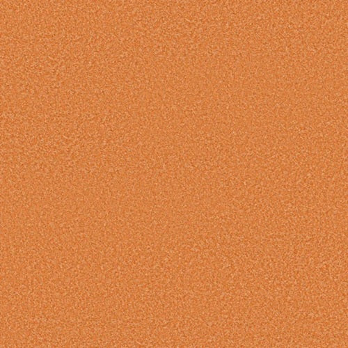 The Bright Side Orange You Glad Polyester Carpet - Textured