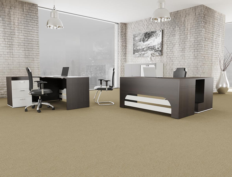 Outlaw Broadloom APEX SDP Polyester Desperado 3088 Carpet Loop 2