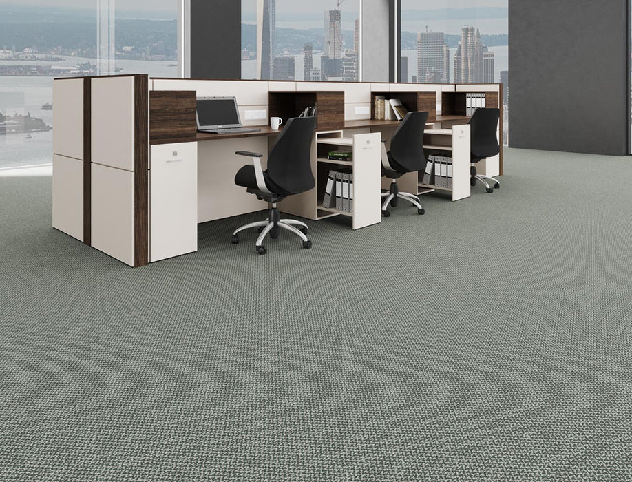 Outlaw Broadloom APEX SDP Polyester Marauder 3091 Carpet Loop 2