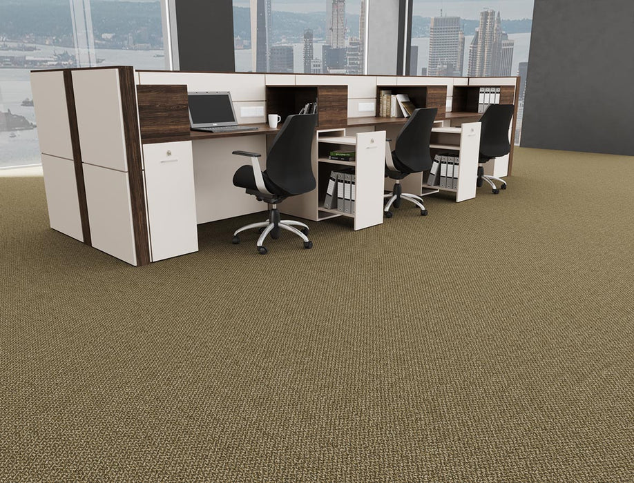 Outlaw Broadloom APEX SDP Polyester Mobster 3094 Carpet Loop 2