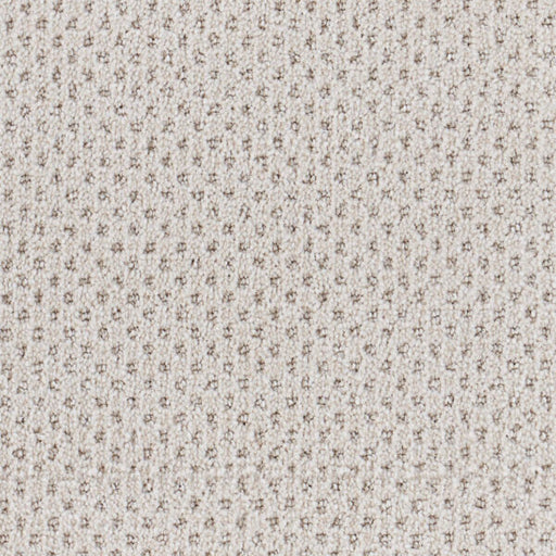 Oxford Polypropylene Warp Carpet Loop 1