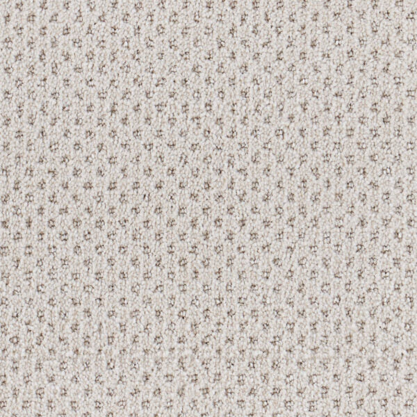 Oxford Polypropylene Warp Carpet Loop 1