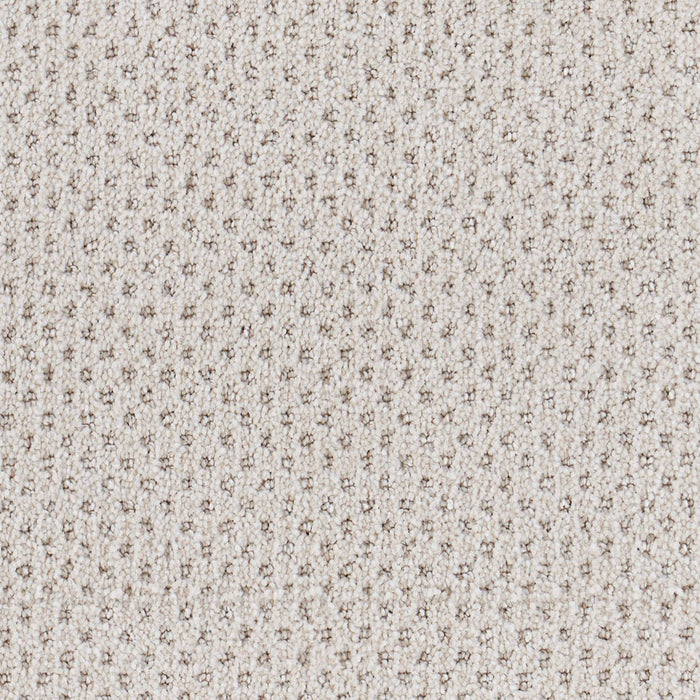 Oxford Polypropylene Warp Carpet Loop 2