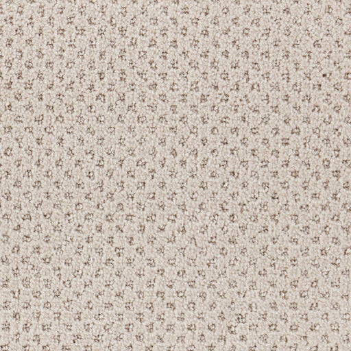Oxford Polypropylene Weft Carpet Loop 1