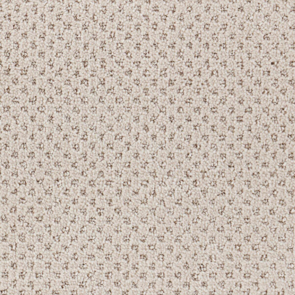 Oxford Polypropylene Weft Carpet Loop 1