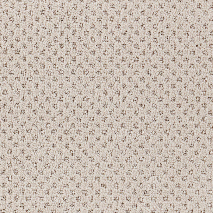 Oxford Polypropylene Weft Carpet Loop 2