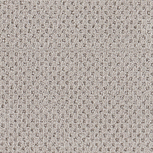 Oxford Polypropylene Twill Carpet Loop 1