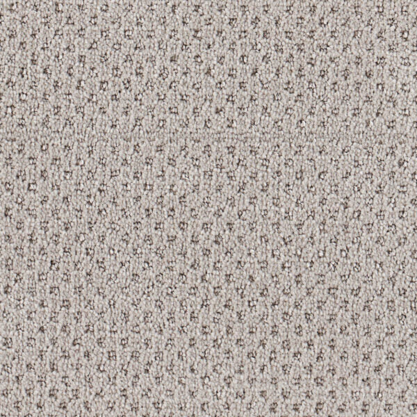 Oxford Polypropylene Twill Carpet Loop 1
