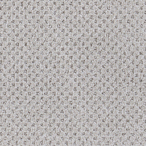 Oxford Polypropylene Weave Carpet Loop 1