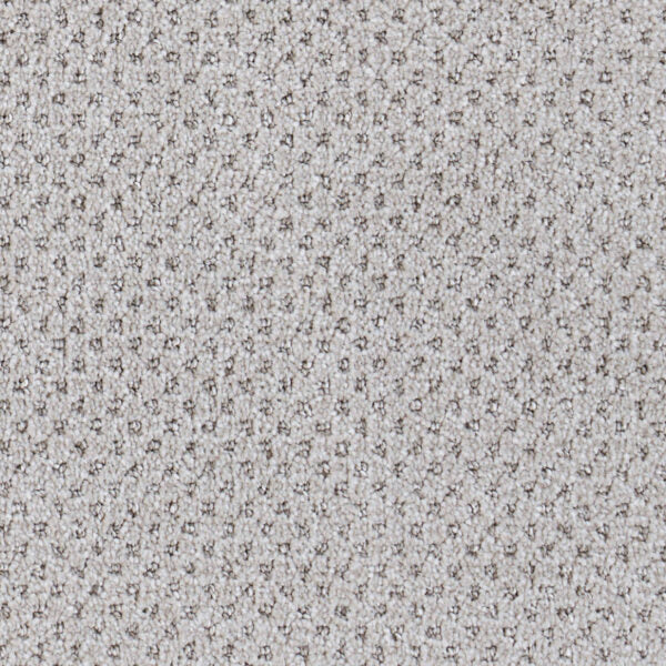 Oxford Polypropylene Weave Carpet Loop 1