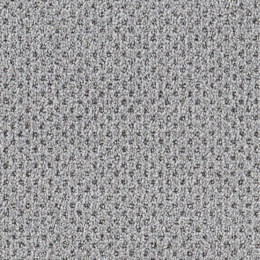 Oxford Polypropylene Grid Carpet Loop 1