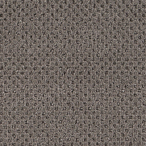 Oxford Polypropylene Speckled Carpet Loop 1